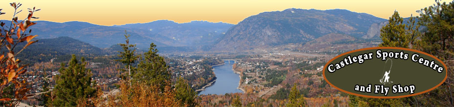 Castlegar and the mighty Columbia River